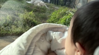 Thumbnail of post image 064